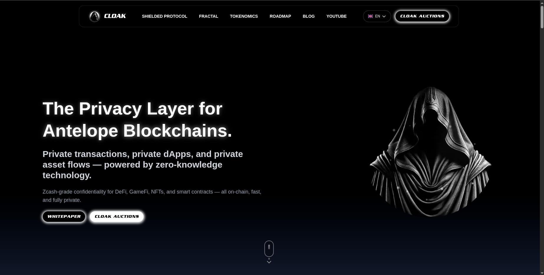 CLOAK Website - Vue 1